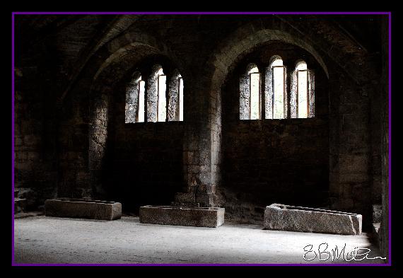 Resting Place Illuminated: Photograph by Steve Milner